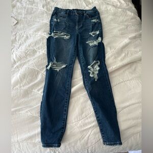 AE Destroyed Next Level Stretch Jegging